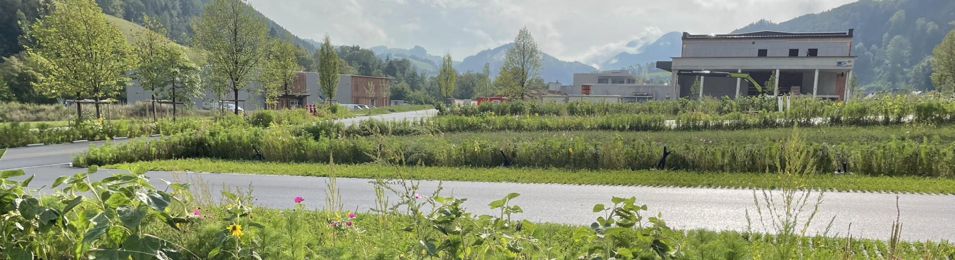 Grünraumgestaltung Wirtschaftspark Kreilhof