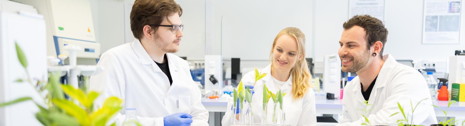 Drei junge Labor-Mitarbeitende in weißen Mäntel bei Pipetten im Labor