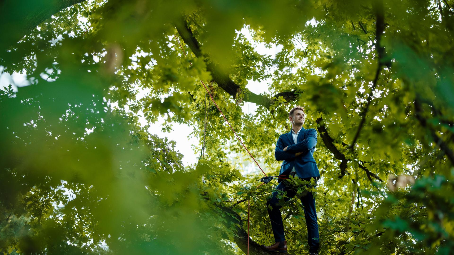 Mann in Anzug steht in Baum