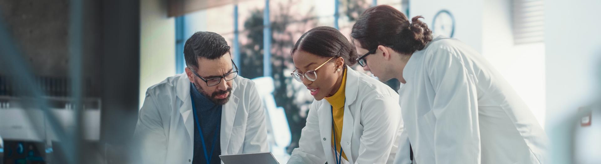 Gruppe an Forschern bespricht sich über ein Arbeitsthema