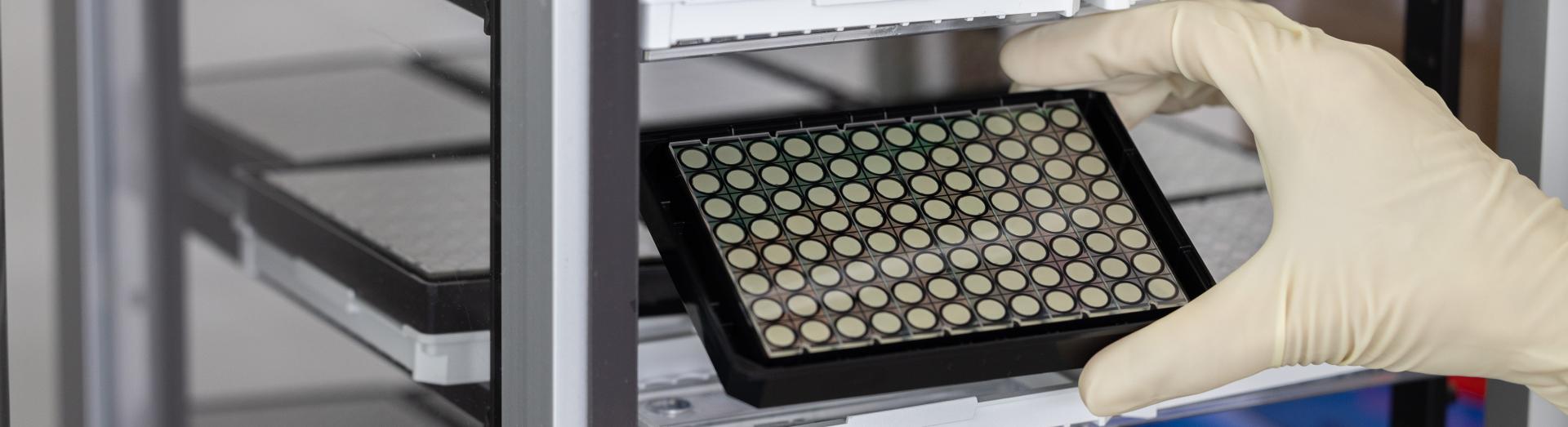 Forschungssituation an der FOTEC