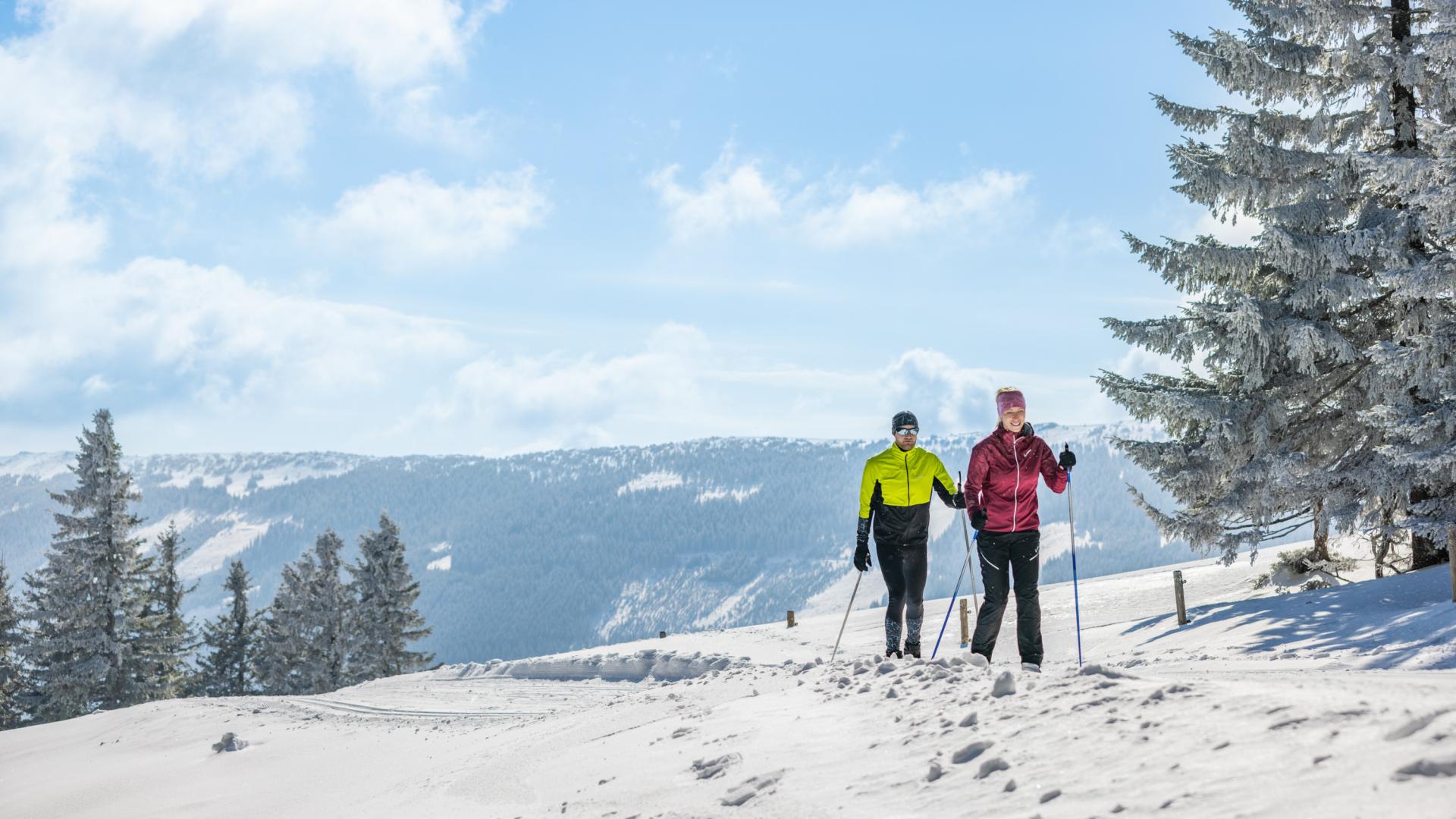 Zwei Langläufer in winterlicher Landschaft auf Loipe unterwegs