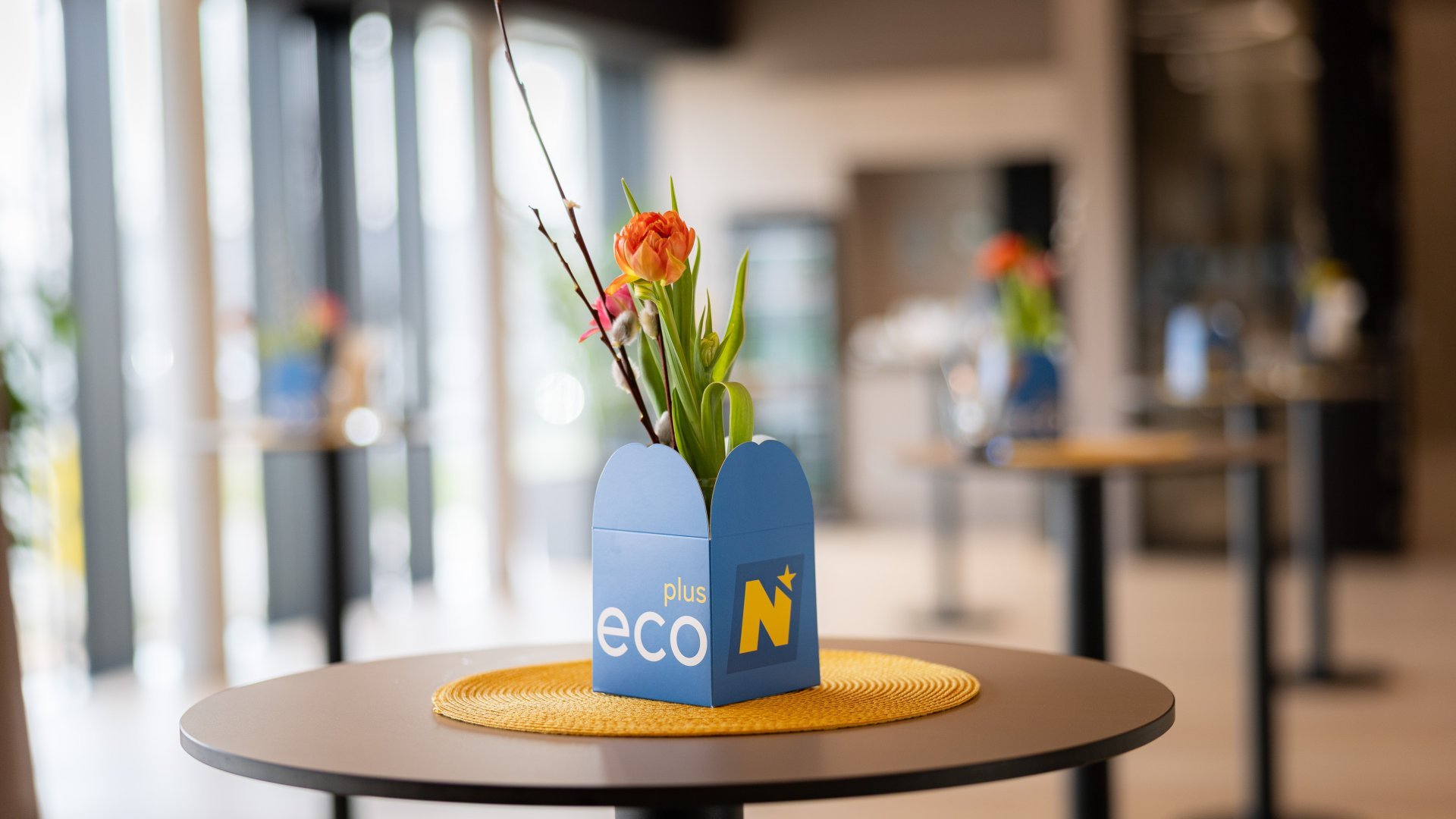 ecoplus Kartonbox mit frühlingshaften Tulpen in Veranstaltungsraum