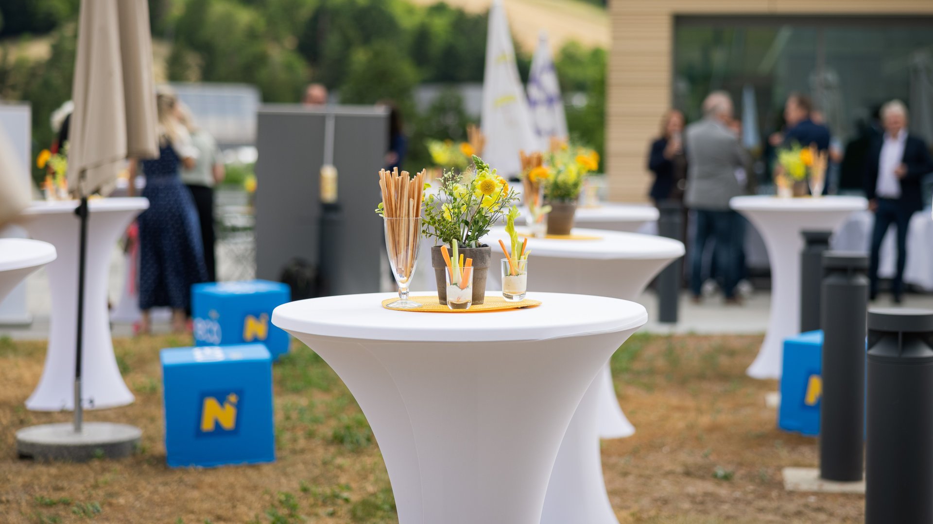 Outdooveranstaltung mit Stehtischen, Sonnenschirmen, ecoplus Würfeln und Teilnehmenden