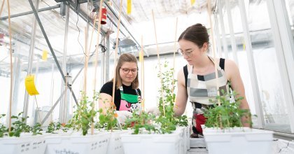 Zwei Damen im Labor erforschen Jungpflanzen