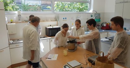 Projektgruppe beim Arbeiten