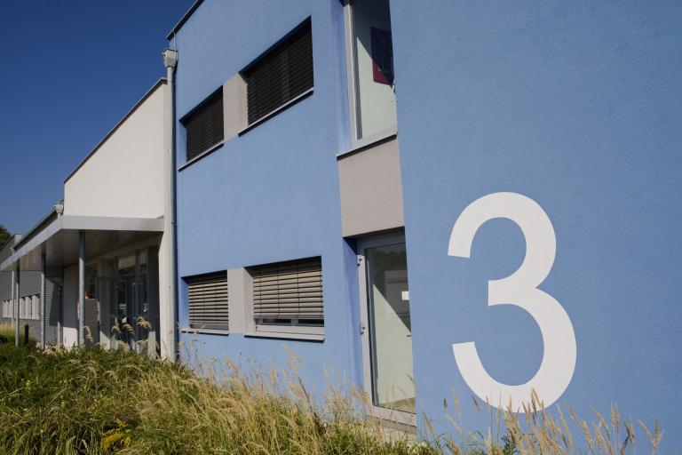 TFZ Krems Gebäude Außenansicht mit Fenster