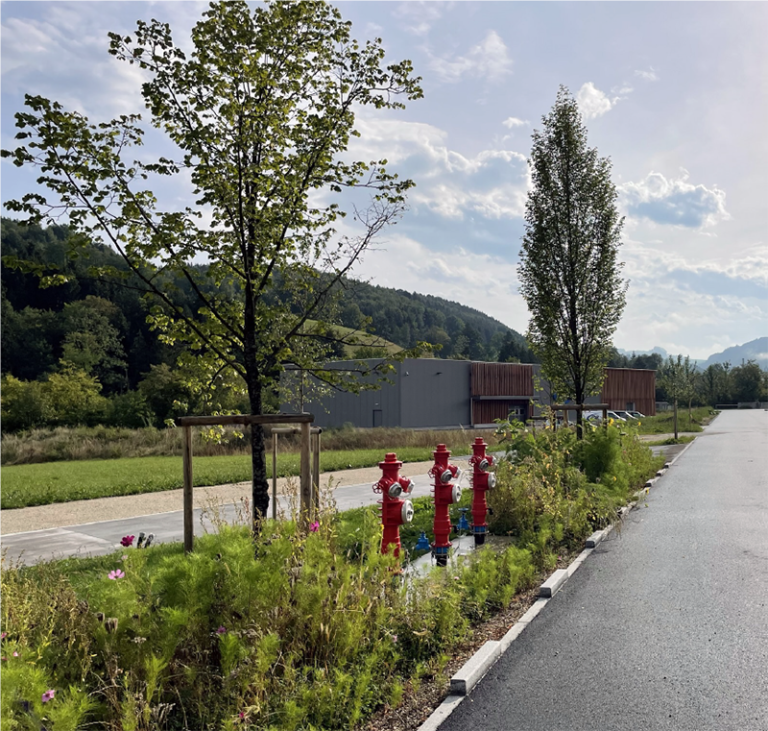 Bäume und Pflanzen auf einem angelegten Grünstreifen mit roten Hydranten