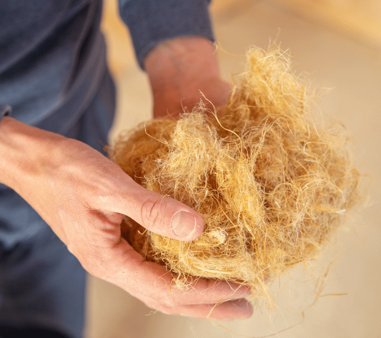 Hand eines Arbeiters mit Hanfwolle, einem ökologischen Dämmstoff