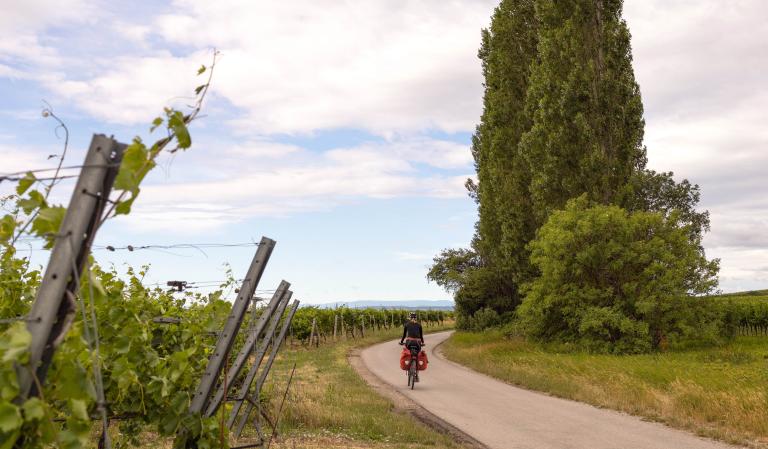Radfahrer mit Packtaschen unterwegs auf Radweg