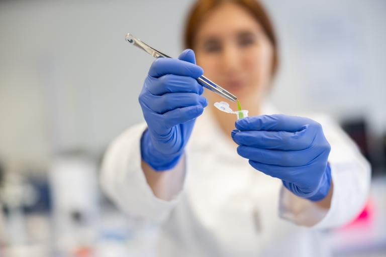 Labordetailaufnahme von Person mit blauen Handschuhen