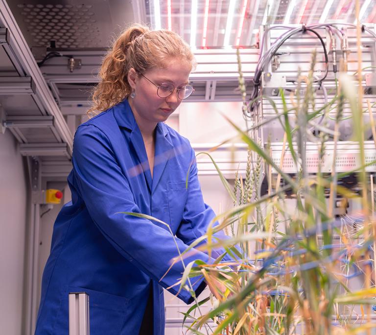 Jung Dame forscht im Labor an Pflanzen
