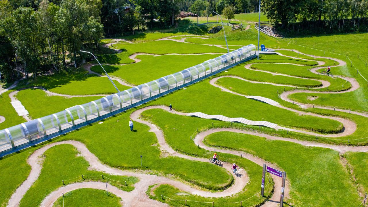 MTB Parkour in Schlangenlinien und einem Zauberteppich bei den Wexl-Trails
