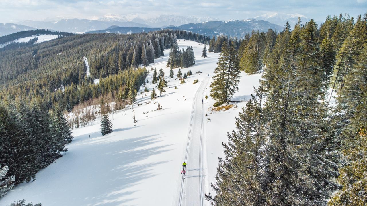 Panoramaaufnahme einer Höhenloipe im Wechselgebiet