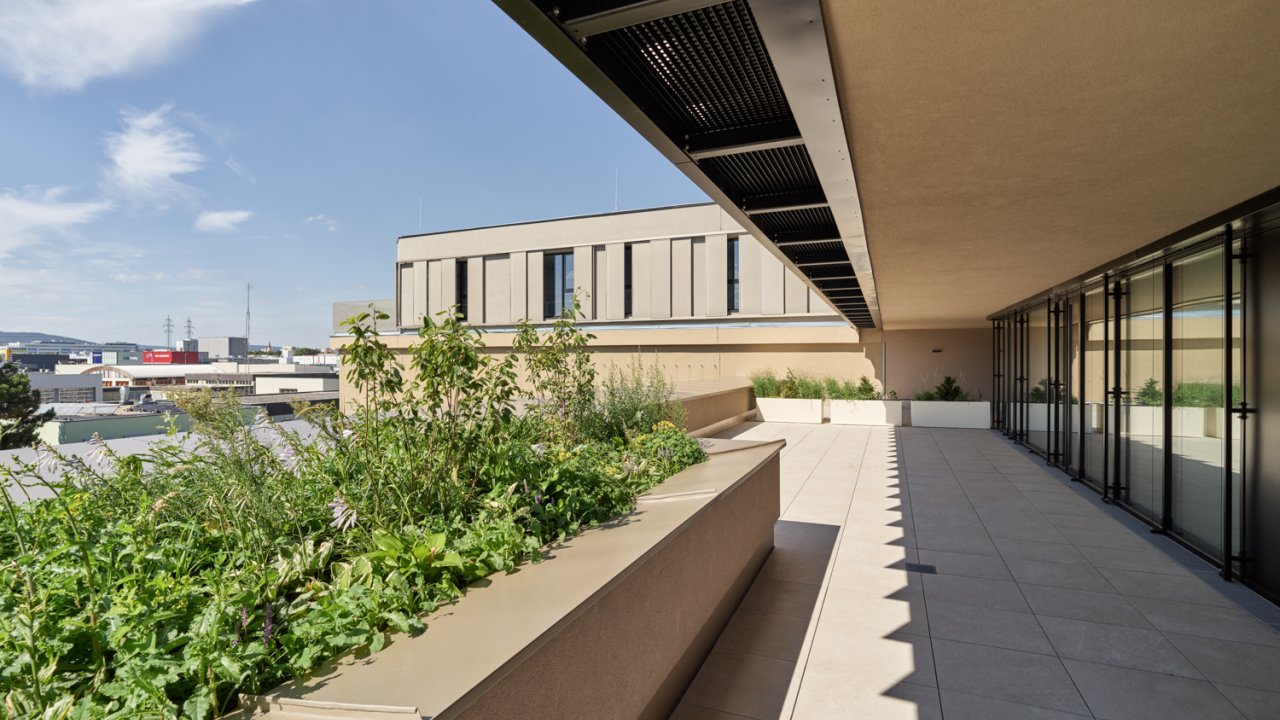 Begrünte große Dachterrasse von moderner Veranstaltungslocation