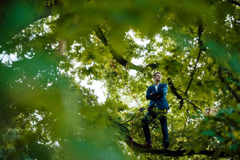 Mann in Anzug steht in Baum