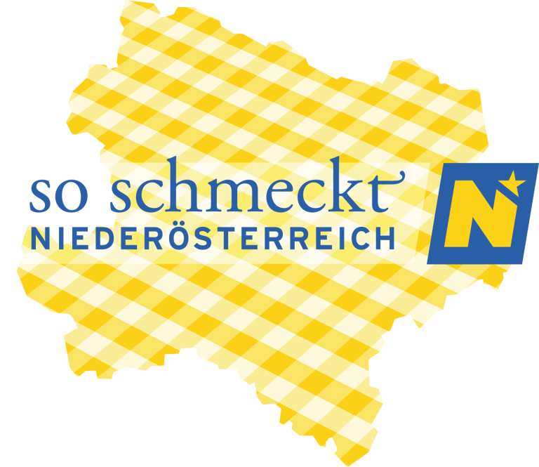 NÖ Dorf- und Stadterneuerung GmbH DORN Logo
