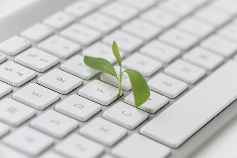 Plänzchen wächst aus Tastatur heraus 