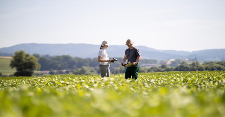 Mann und Frau im Feld