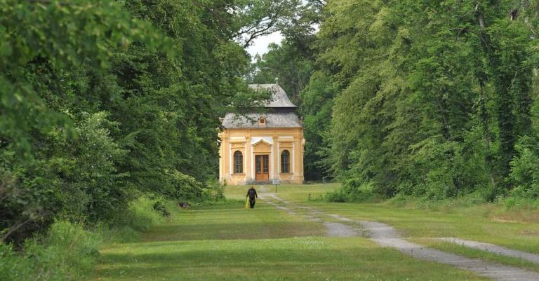 gelbes Gebäude Mitten in einem Wald