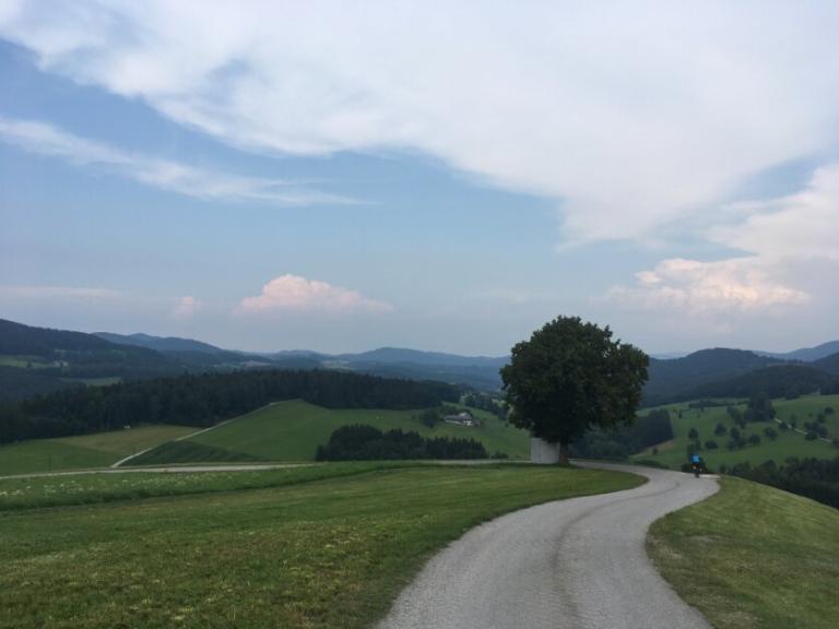 hügelige Landschaft mit einem asphaltierten Radweg