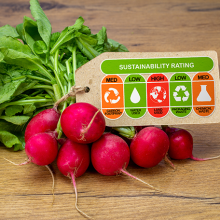 Imagebild mit Radieschen und einer Skala für die Nachhaltigkeitsbewertung