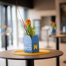 ecoplus Kartonbox mit frühlingshaften Tulpen in Veranstaltungsraum