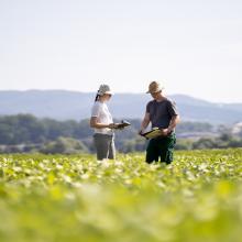 Mann und Frau im Feld