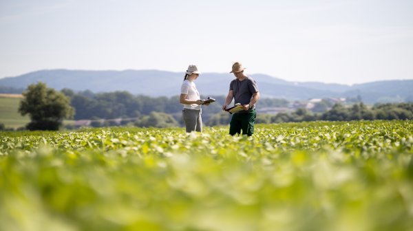 Agrarforschung mit 2 Personen im Feld