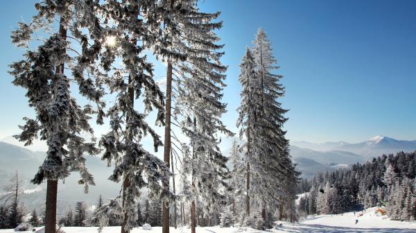Tief verschneite Pistenlandschaft in Annaberg in Niederösterreich
