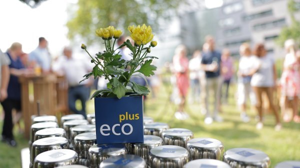ecoplus Sommerfest mit Kartonbox und bBümchen und unscharfen Hintergrund