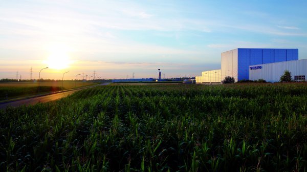 Firmengebäude Volvo mit Maisfeld und Sonnenaufgang in Bruck an der Leitha
