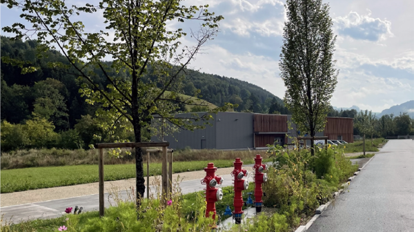 Bäume und Pflanzen auf einem angelegten Grünstreifen mit roten Hydranten