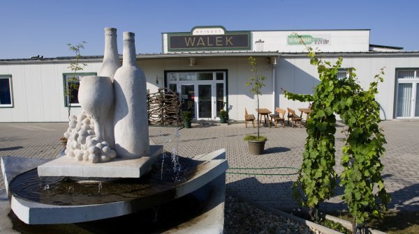 Weingut Walek in Poysdorf