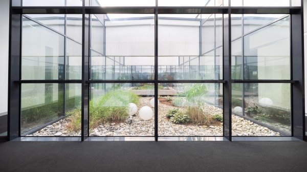 große Glasscheibe mit Blick auf einen angelegten Garten im Innenhof
