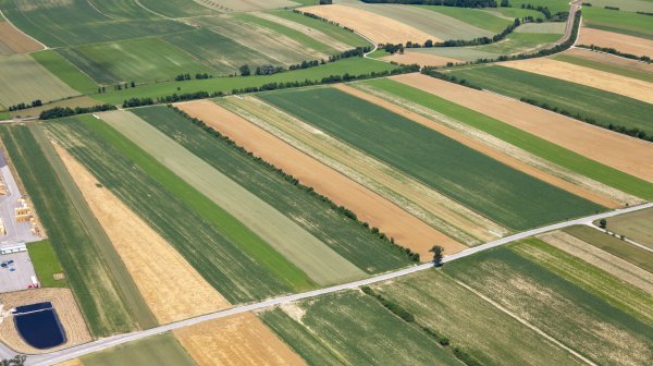 Luftbild landwirtschaftliche Fläche mit Güterwegen, Straße und Wasserläufen