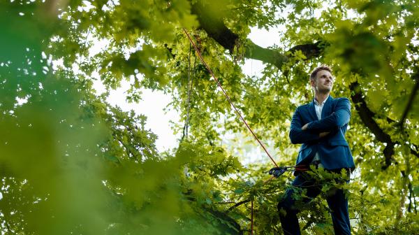 Mann in Anzug steht in Baum