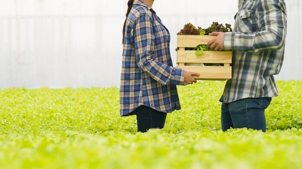 eine Dame überreicht einem Herren ein Kisterl mit Salat