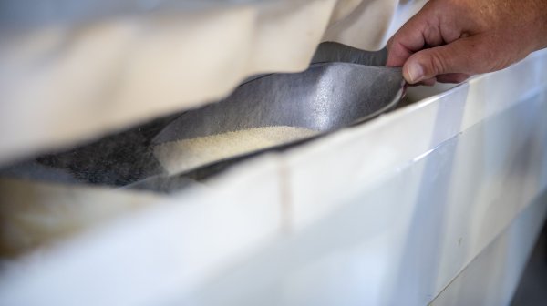 Männerhand schöpft Korn aus einem Behälter