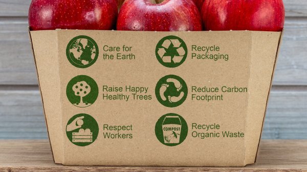 Imagebild von Äpfel in Kartonbox
