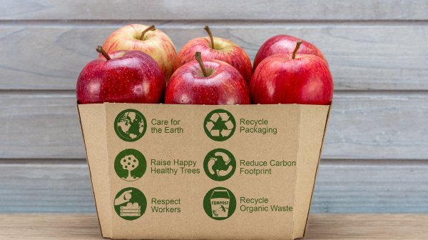 Imagebild von Äpfel in Kartonbox