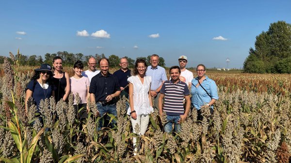 Gruppenbild im Sorghum Feld