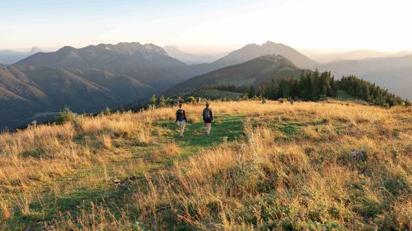 Landschaftsbild
