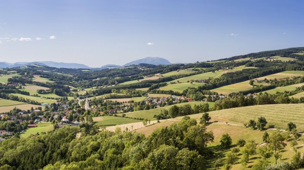 Landschaftsbild mit grünen Hügeln in den Wiener Alpen