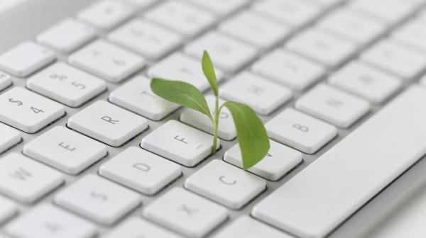 Plänzchen wächst aus Tastatur heraus 