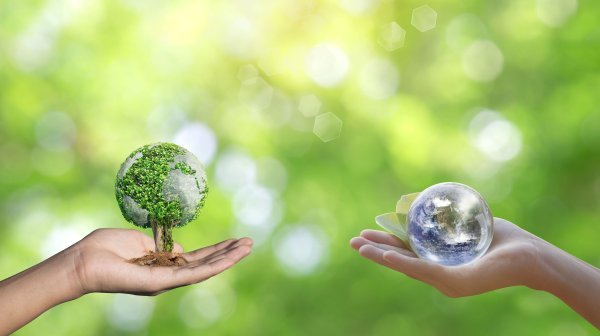 Zwei Handflächen: eine mit einem Baum und eine mit Kugel