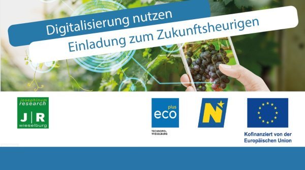 Sujet mit Titel & im Hintergrund eine Weinrebe, die mit dem Handy fotografiert wird