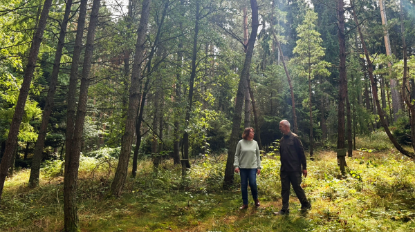 zwei Personen spazieren im Wald