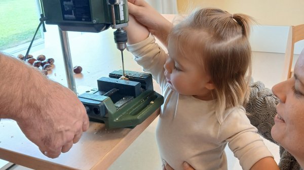 Kindergartenmädchen beim Kastanien anbohren