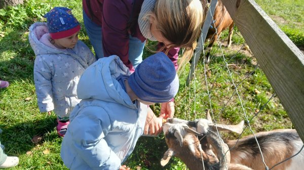 Zwei kleine Kinder beim Füttern einer Ziege